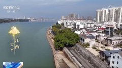 《古树名木条例》施行看一看各地古树取城市若